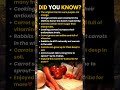 8 Amazing Facts about Carrot.🥕