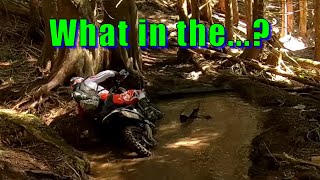 Trail to Split Rock (Walker Valley ORV)