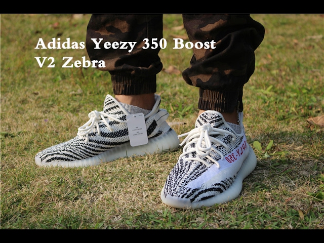 Adidas Yeezy 350 Boost V2 Zebra On Feet - Youtube