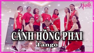 Cánh Hồng Phai - Hoàng Yến Chibi | Zumba | Tango | Choreography Hưng Kim | Abaila Dance Fitness |