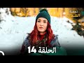 نجمة الشمال الحلقة 14 حلقة كاملة طويلة Arabic Dubbed 