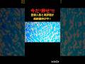 青色で「伸」を無限に書くと登録と高評価が伸びる説Endlessly Writing the Blue Kanji “Grow” Boosts Likes & Subscribers