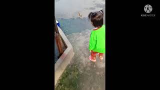Ngejar Bebek Pargoy Macarena Tiktok Pargoy