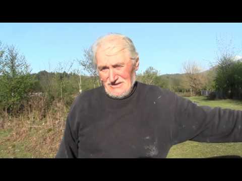 გურულები ქალების არჩევნებში მონაწილეობის შესახებ