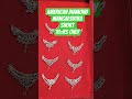 new American diamond mangalsutra subscribe or like karne Wale Ko 50% discount