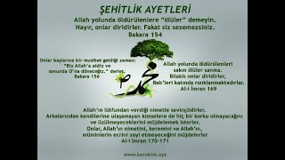 Muhammed Suresinde Şehitlik - Siz Allahın Dinine Yardım Ederseniz Allah Da Size Yardım Eder