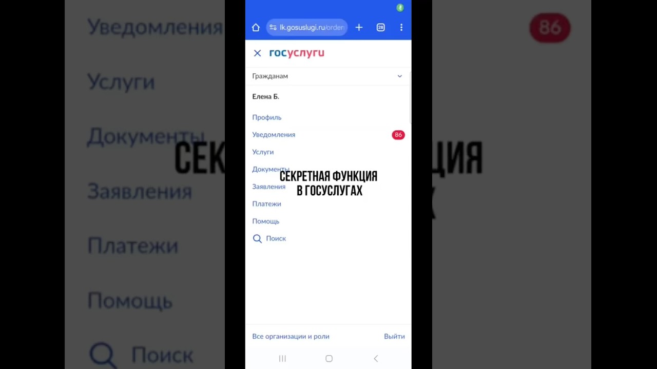 Как узнать обо всех положенных выплатах и льготах. Секретная функция в Госуслугах