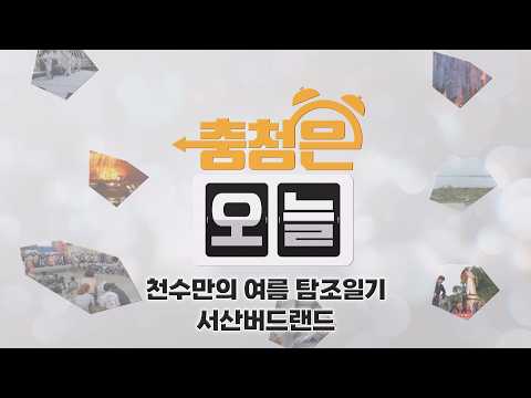 천수만의 여름 탐조일기 _서산버드랜드  / KBS대전 20260630 방송
