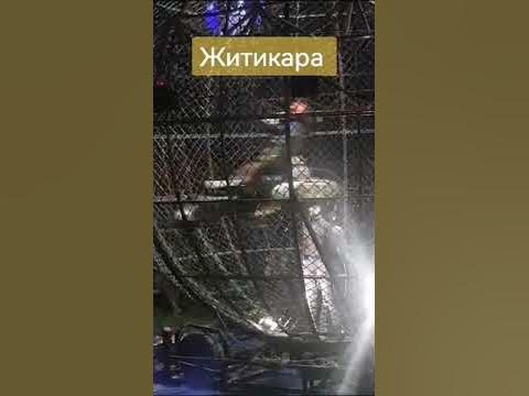 Житикара - YouTube