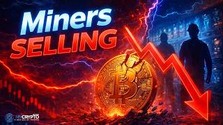 BITCOIN: Miner Capitulation Coming? ($44K risk) – BTC Price Prediction Today