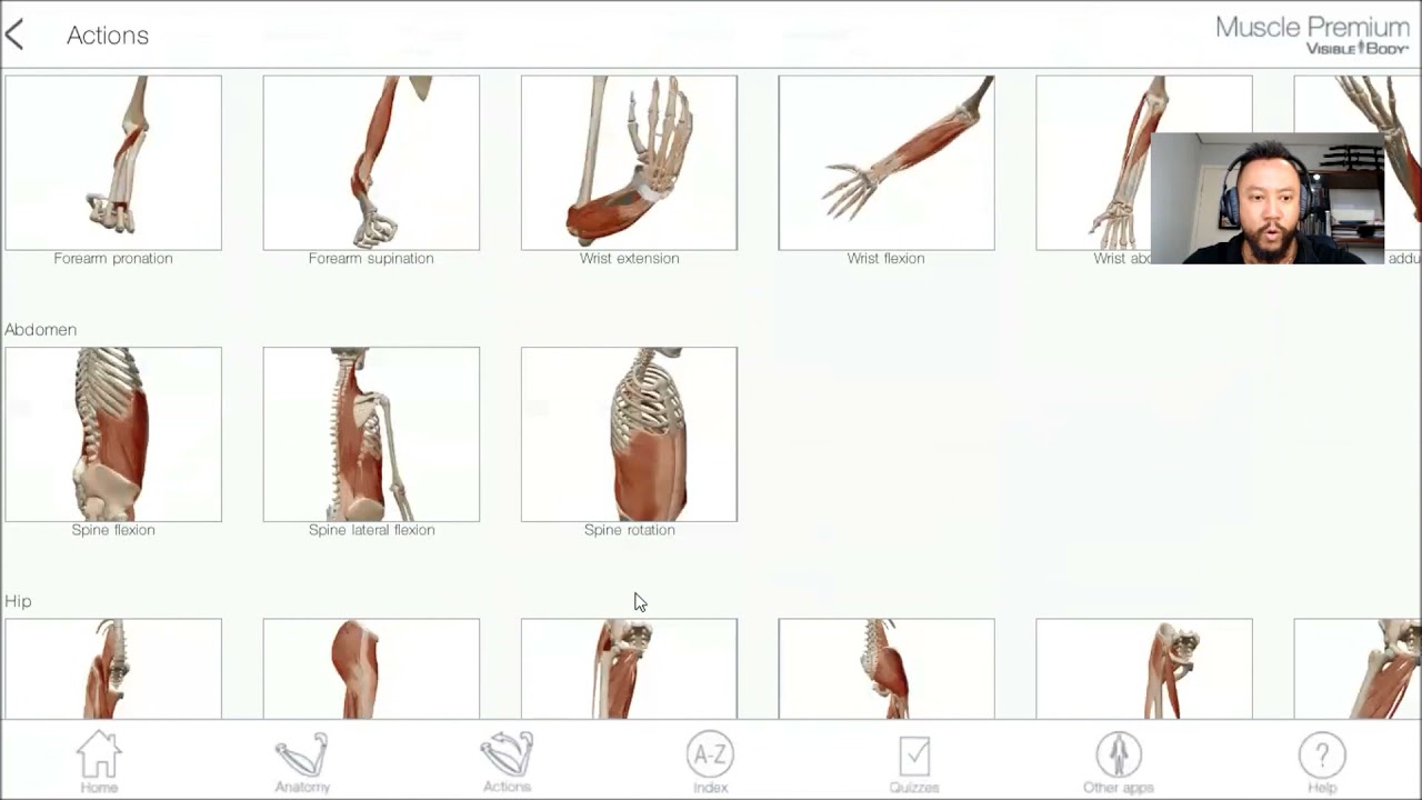 Anatomia e cinesiologia dos exercícios p/ glúteos.