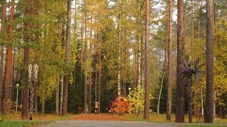 Отдых в Ленинградской области | Золотая осень | Отель Raivola | Райвола(Забронируйте номер прямо сейчас: +7-812-322-50-60 ☆ Загородный отель «Райвола», берущий свое название от старин..., 2015-10-21T09:29:50.000Z)