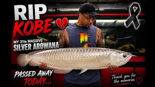 I Never Thought I’d Make This Video… RIP Kobe 💔