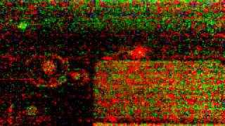 Lori Lori Lorikamın Resimi