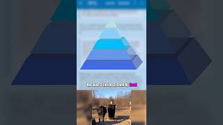 Vs Wiki Is Internally Breaking Down Because Their Tiering System S