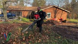 Why Rake Your Yard?
