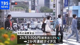 自動車や家具・家電買わず ９月消費支出１．９％減 ２か月連続マイナス