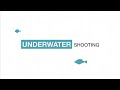 RICOH THETA how-to video : Underwater Shooting