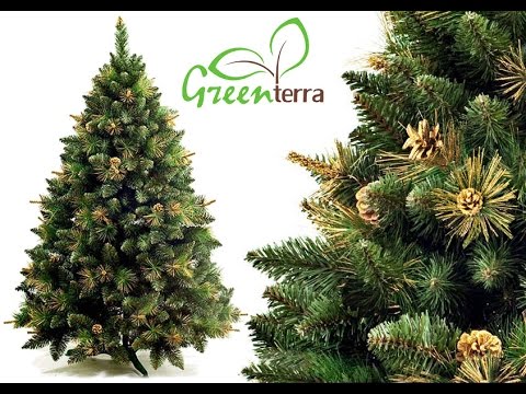 GreenTerra™ Сосна Сибирская с шишками, золото