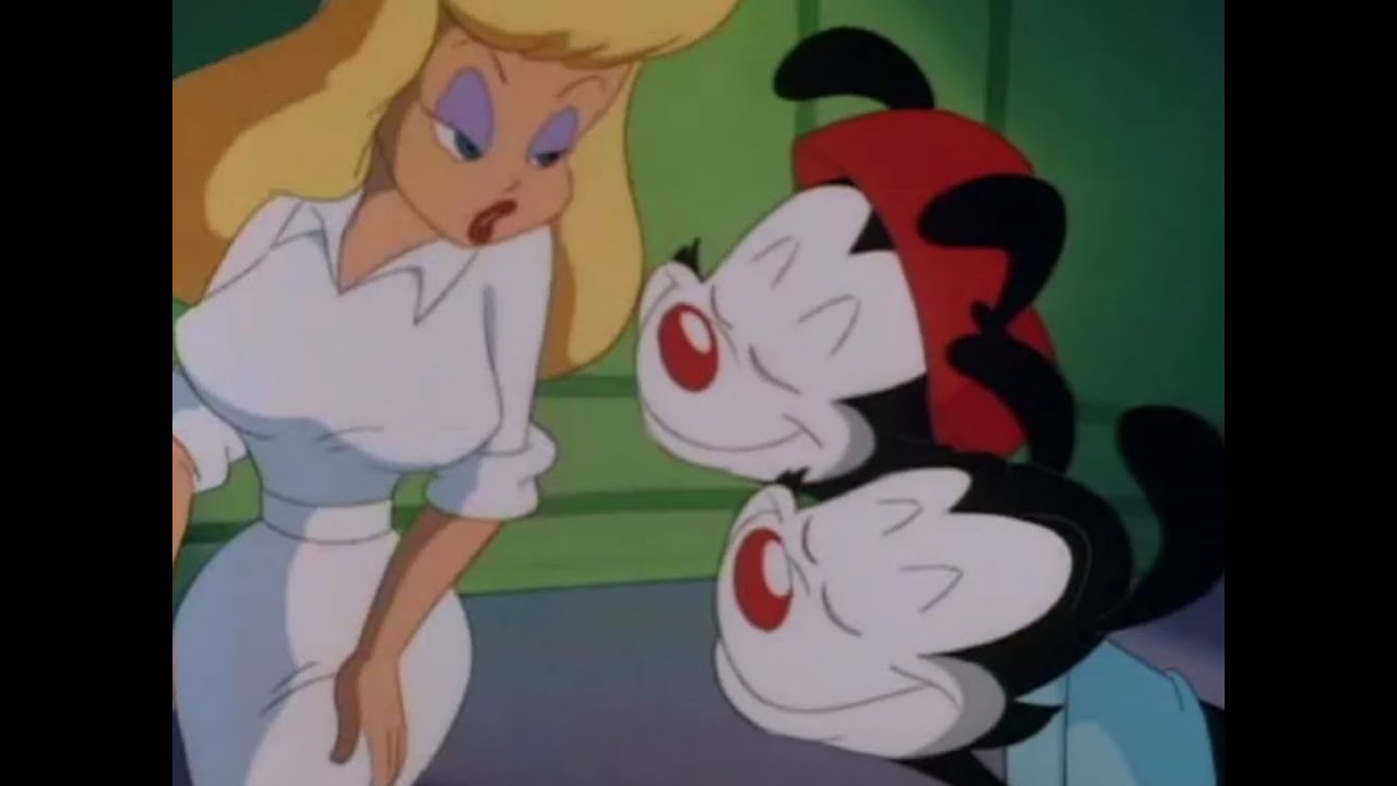 Animaniacs Nurse Hentai