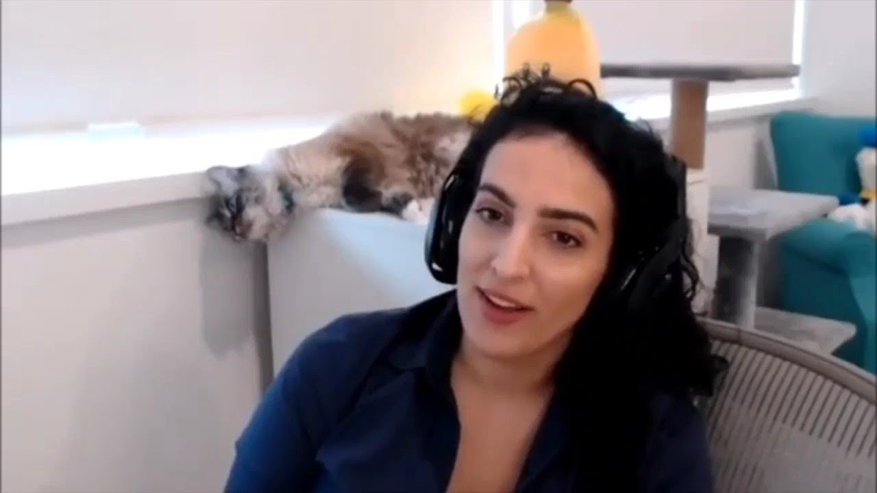 Allegra Clark's Cat Milo Vs Our Interview