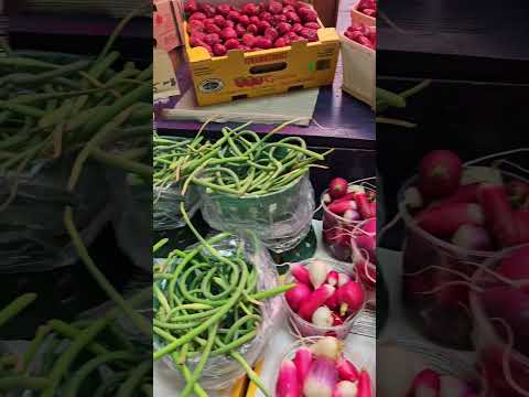 Video: Atwater Market (Montrealin julkiset markkinat)