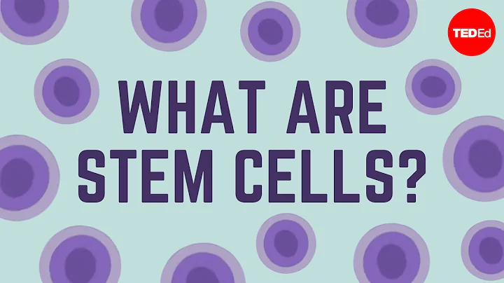 What are stem cells? - Craig A. Kohn - 天天要聞