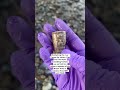 #mudlarking #mudlark for history finds on the river Thames permits needed.