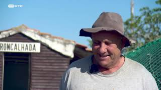 Sal marinho de Aveiro