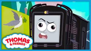 Diesel Helps Out a New Bird Friend! | Thomas & Friends: All Engines Go!