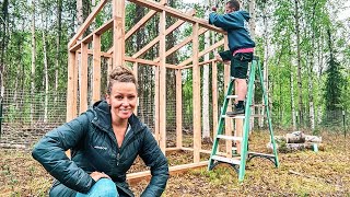 Summer on the Homestead! | Building a Sheep Shanty + Shearing our Sheep for the 1st Time!