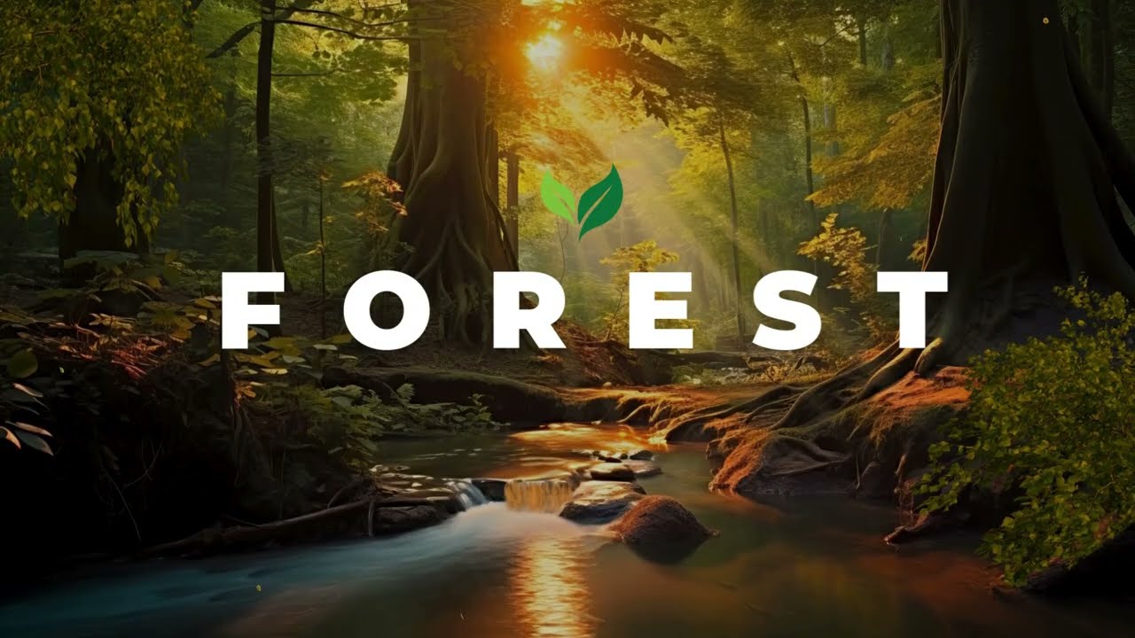 Chorus of Birds at Dawn in Abasto 🐦 Relaxing Nature Sounds”