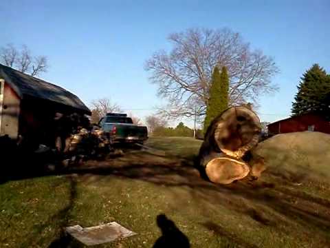 Redneck Tree Removal