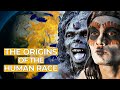 Homo Sapiens How Man Became The Ruler Of The Earth FD Ancient History 