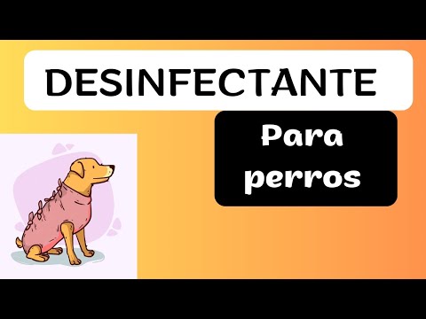Clorhexidina: El Guardián de la Salud Canina 🐾 | Desinfectante Eficaz para Heridas hqdefault