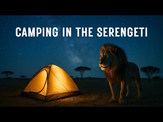 tent purchase Trader 10x12 - 6'6
