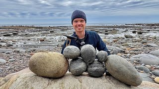 Shale Landslide Reveals HUGE Fossil Rocks! Here’s What They Contained! 
