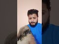 Hoo chandu #viralshorts #shortsfeed #kannadalovesongs #topshorts #dogshorts #doglove #dog