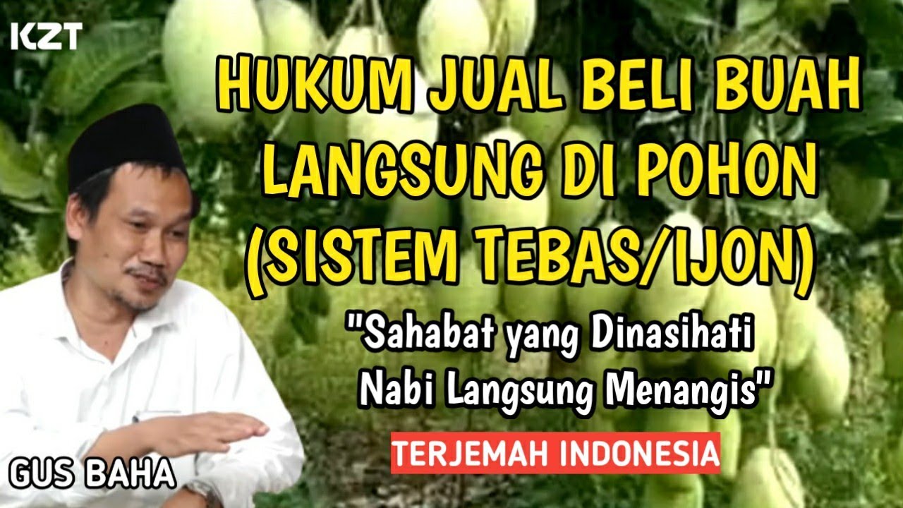 Gus Baha Hukum Jual Beli Buah di Pohon yang Masih Kecil (Ijon) YouTube