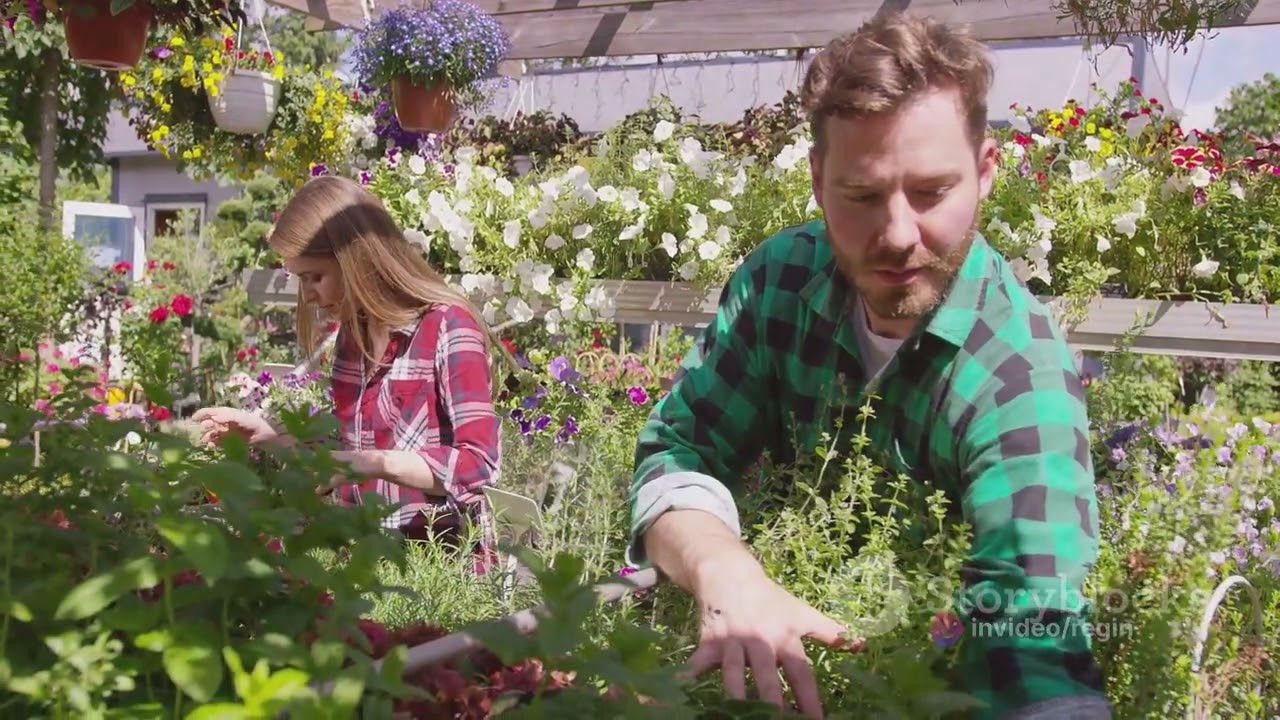 Cultivating Wellness: The Medicinal Garden Kit Journey