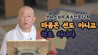 [선타스님의 육조단경12회]마음은 선도 아니고 악도 아니다