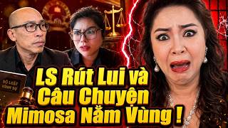 'Undercover Agent' Mimosa Sets a Trap for HKD - Lawyer Tuyen No Abandons Ship and Runs!