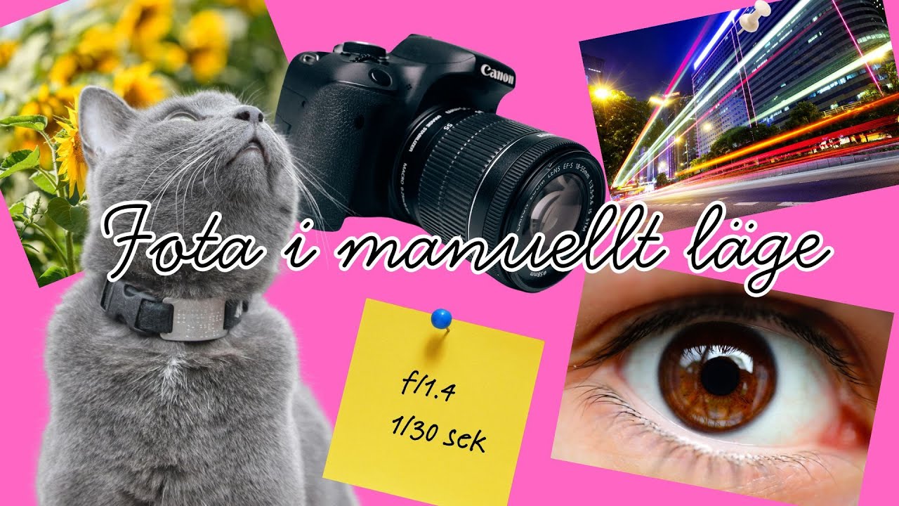 Lär dig fotografera manuellt – Den ultimata nybörjarguiden