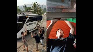 bus telolet #udin #tungtung #shortviral #fypyoutube #fypシ゚viral