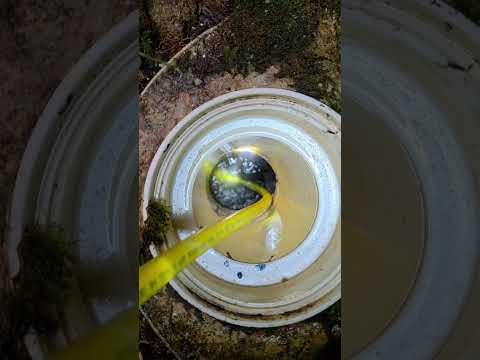 Carindale – Tree Root Intrusion Investigation