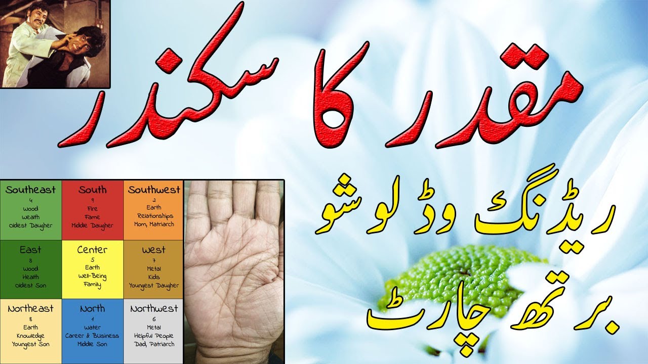 muqadar-ka-sikandar-lucky-male-palm-reading-with-loshu-birth-chart