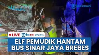 🔴LIVE Laka Elf Pemudik Hantam Bus Sinar Jaya di Pantura Brebes hingga Ringsek, 1 Penumpang Terjepit