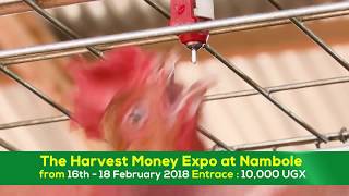 Do you want to earn from your poultry business Attend the Harvest Money expo