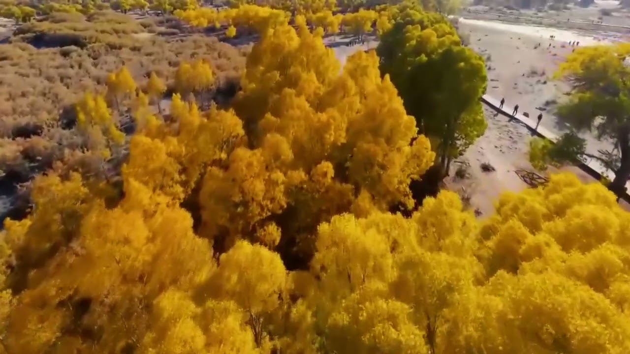 Ejin Banner, Alxa League