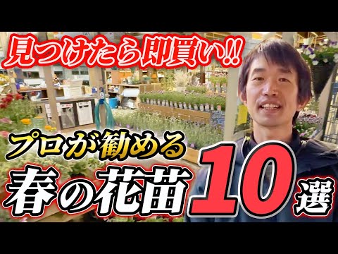 Amazonで買えるインディーガーデニングブランド11選｜おすすめギフトと失敗しない買い方